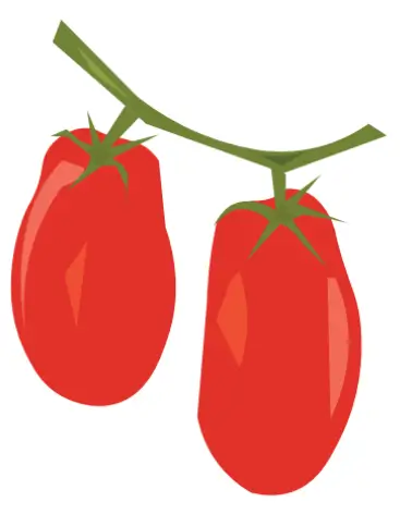Tomato